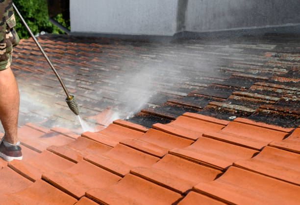 Best Fence Pressure Washing  in Lewiston, ID