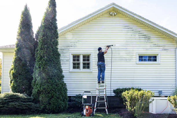 Best Best Pressure Washing Companies  in Lewiston, ID